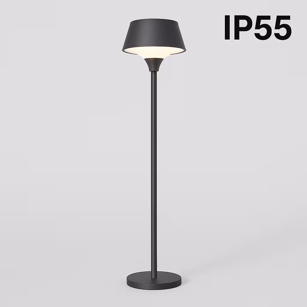 IP55