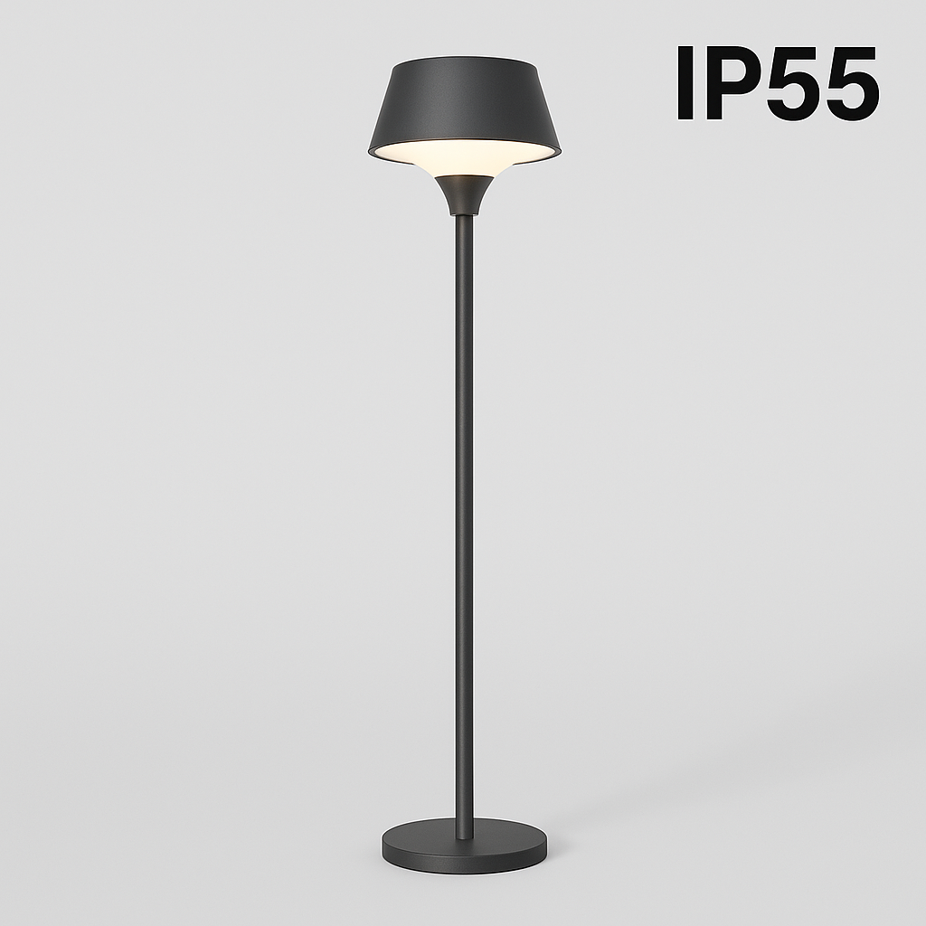 IP55