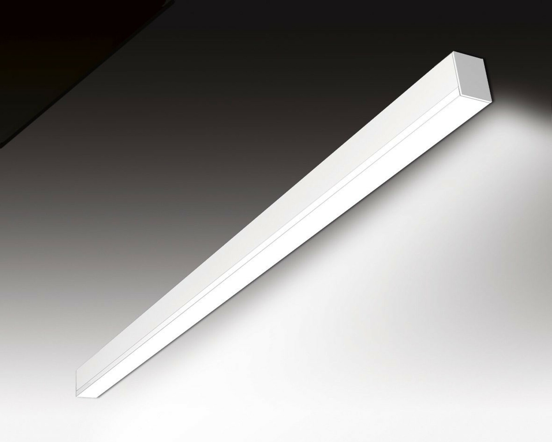 Levně SEC Nástěnné LED svítidlo WEGA-MODULE2-DB-DIM-DALI, 8 W, bílá, 572 x 50 x 65 mm, 4000 K, 1120 lm 320-B-014-01-01-SP
