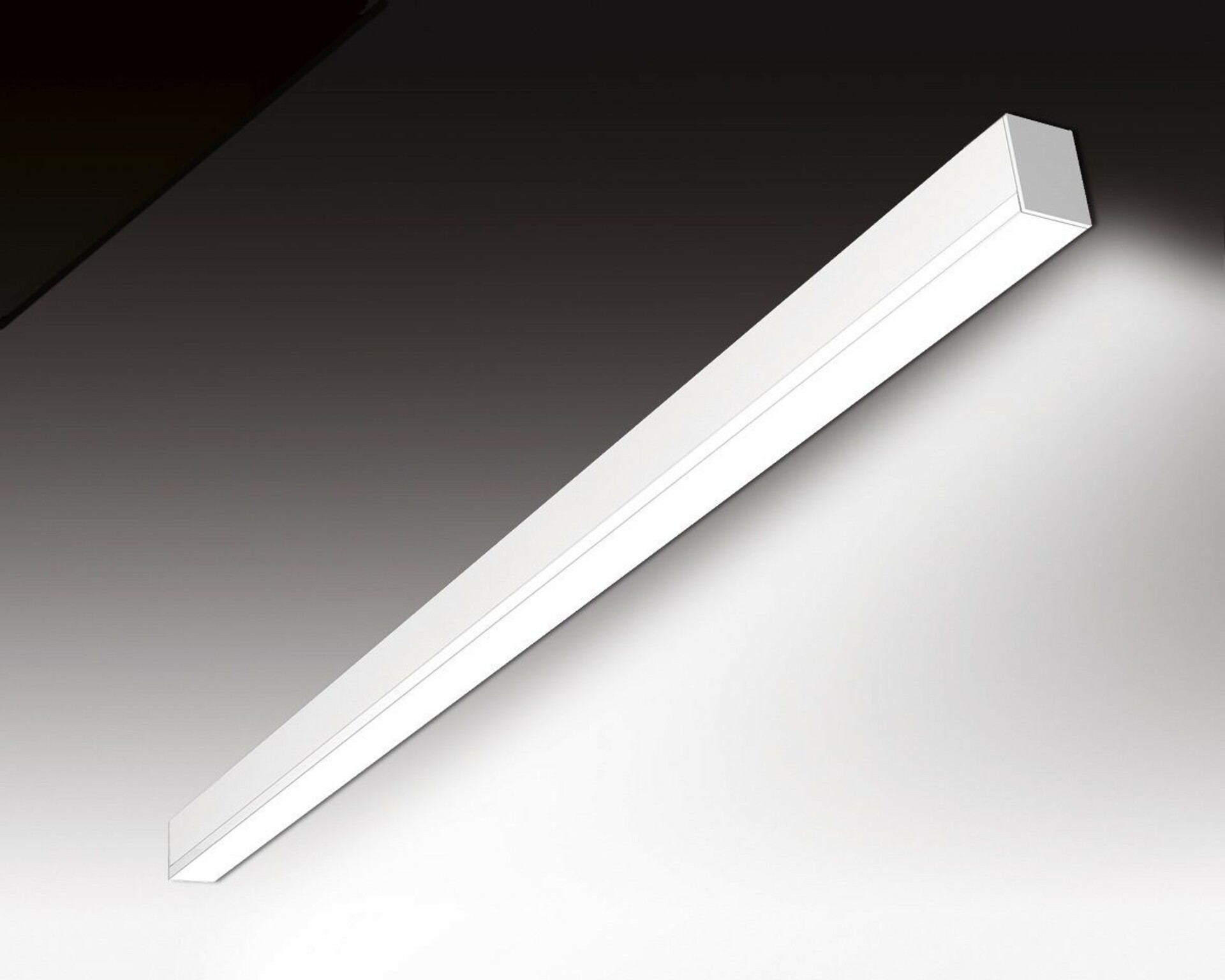 SEC Nástěnné LED svítidlo WEGA-MODULE2-DB-DIM-DALI, 8 W, bílá, 572 x 50 x 65 mm, 4000 K, 1120 lm 320-B-014-01-01-SP