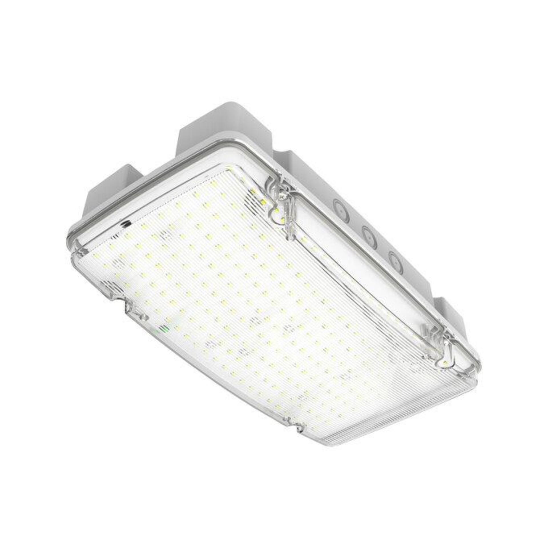 Levně LEDVANCE nouzové svítidlo EM BULKHEAD HLO 10 W 220-240 V 5700 K 3 h IP66