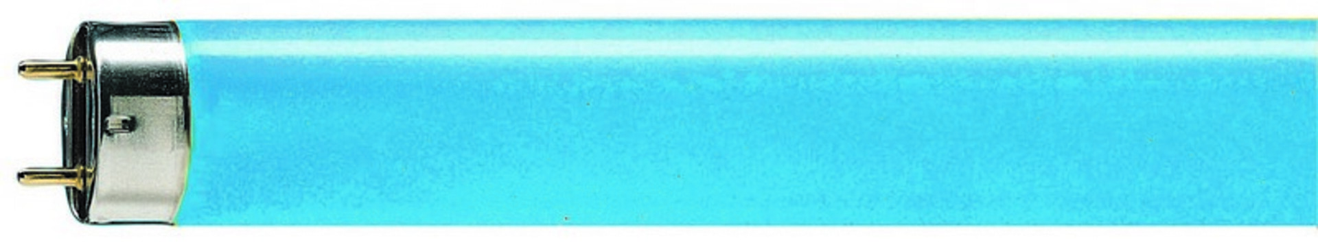 Levně Philips lineární MASTER TL-D 36W/ 18 G13 modrá