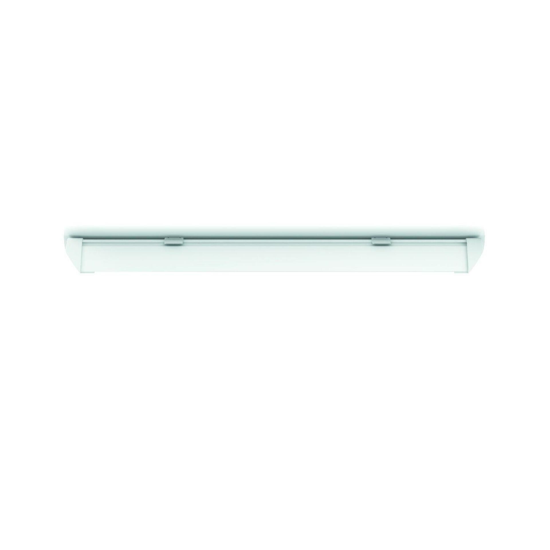 Levně LED Stropní/ nástěnné svítidlo Philips Aqualine 31248/31/P3 4000K IP65 bílé 57,5cm