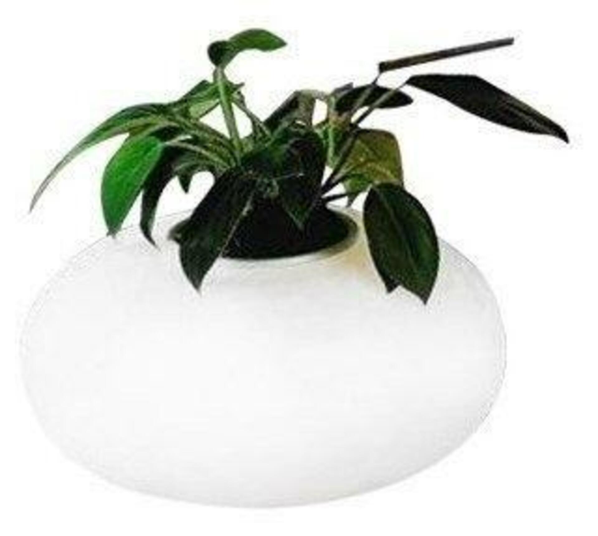 Stolní lampa s držákem na umělé květiny AZzardo Flora AZ0185 E27 1x11W IP20 45cm bílá