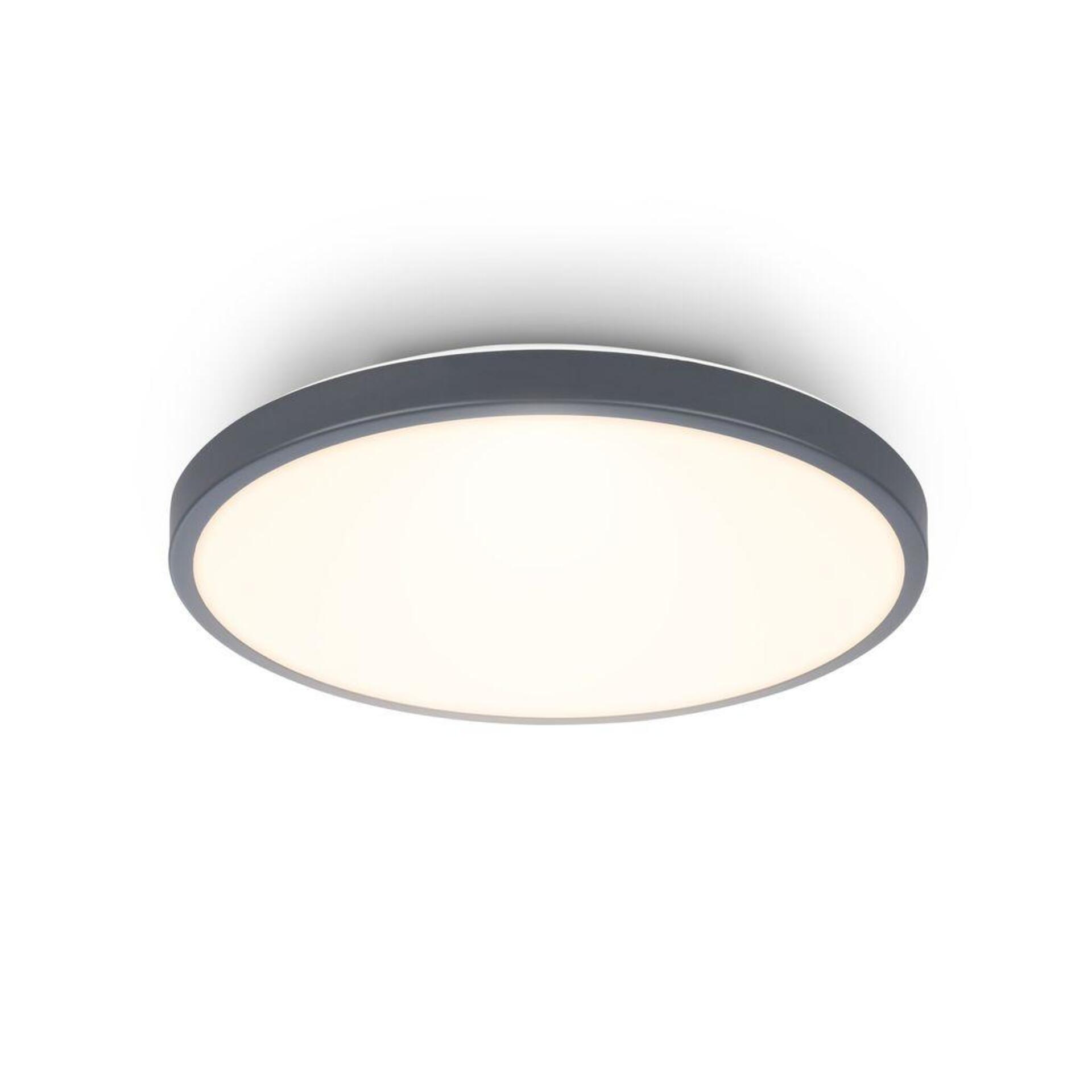 Levně BRILONER Competo stropní svítidlo pr.24 cm - 12W, 1300lm, LED, teplá bílá, antracit 3901015