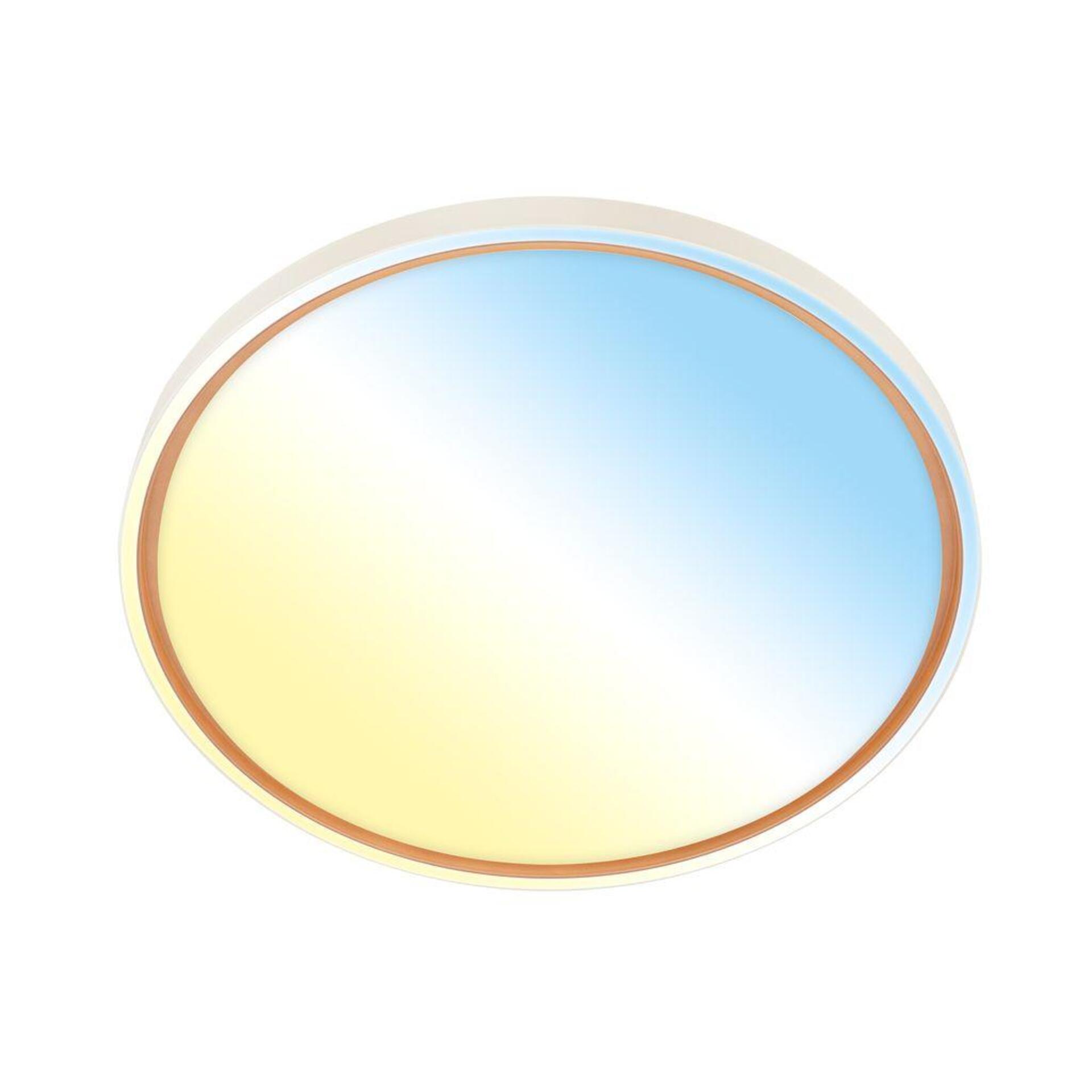 Levně BRILONER Ina stropní svítidlo pr.49 cm - 48W, 5200lm, stmívatelné, LED, dálkový ovladač, CCT, kávová 3956014