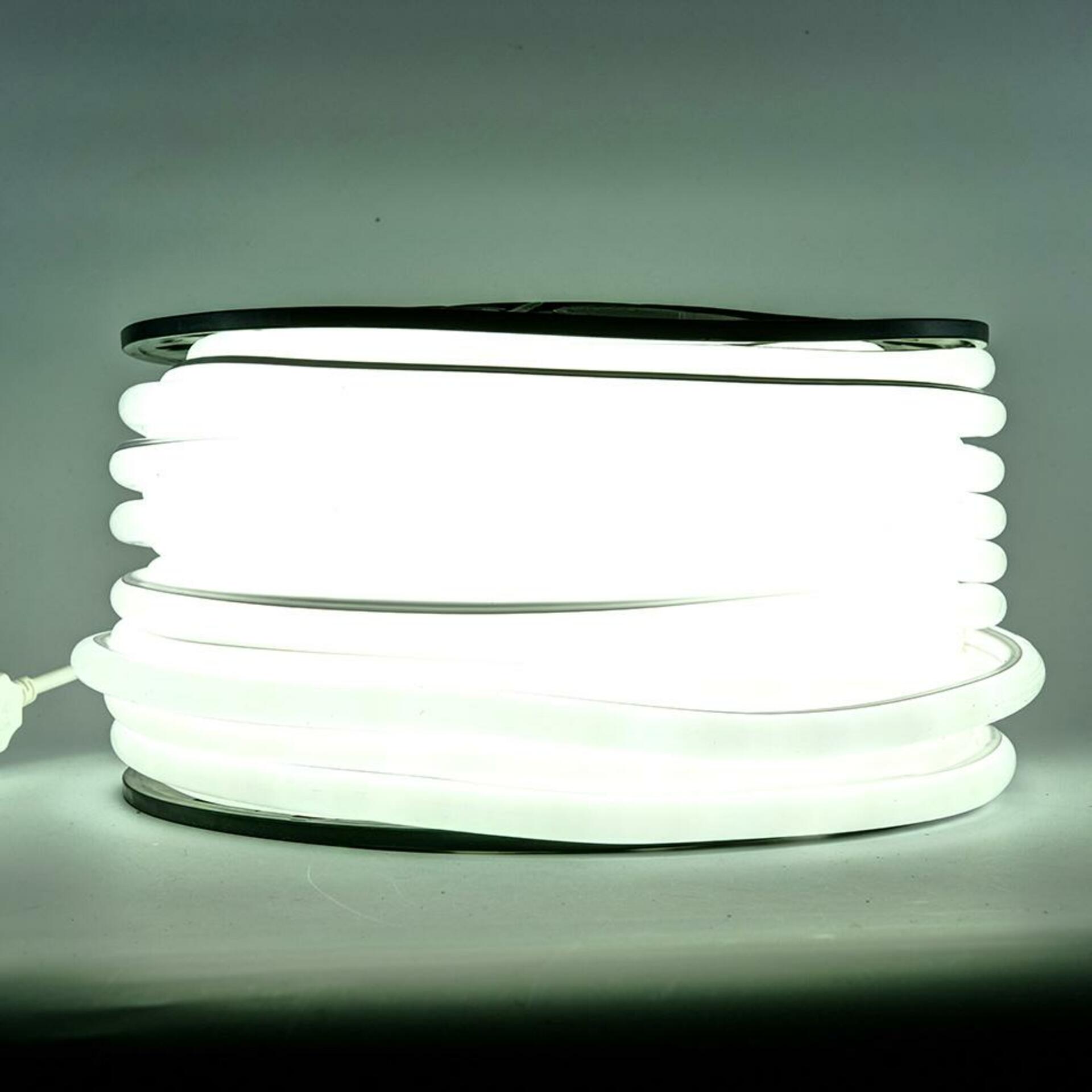 Levně DecoLED D-TYP jednostranný LED Neon, ledově bílá, IP67, 1 m