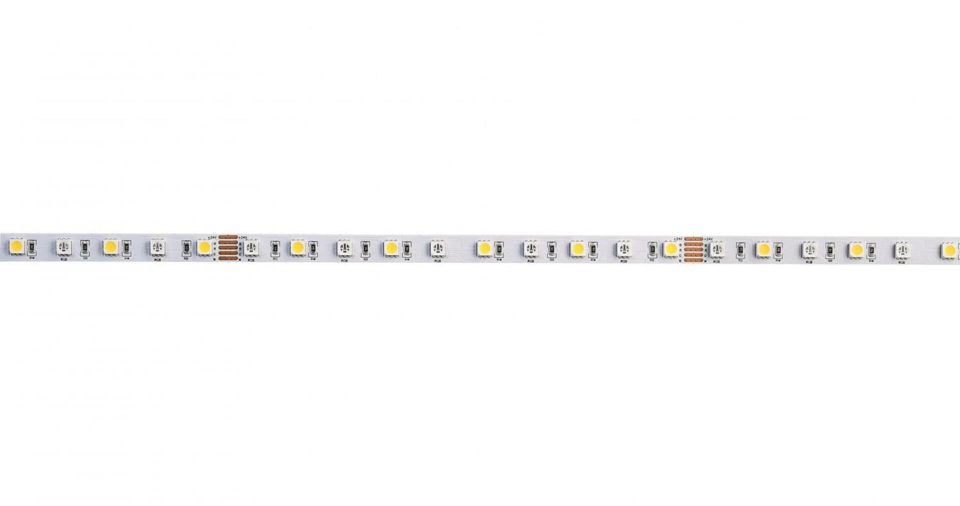 Light Impressions Deko-Light flexibilní LED pásek 5050-60-24V-RGB+4000K-5m 24V DC 65,50 W 4000 K 3085 lm 5000 840353
