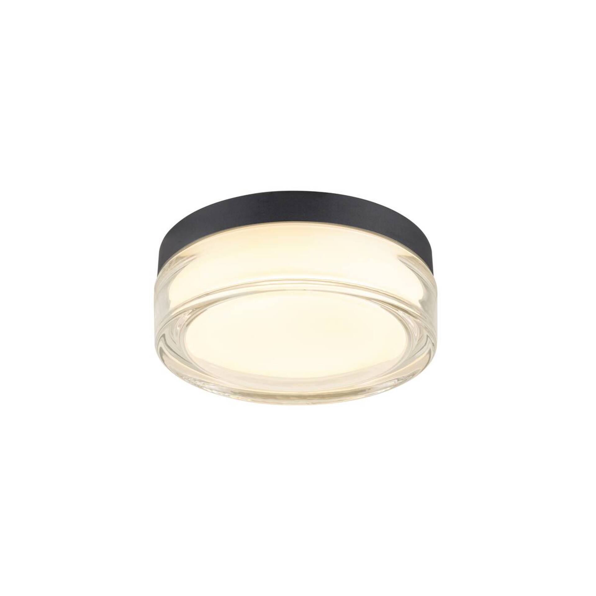 Levně BIG WHITE SLV CYFT XL Přisazené nástěnné a stropní svítidlo, 2700/3000/4000 K, 15 W, PHASE, 125°, IP65 černá / čirá 1010210