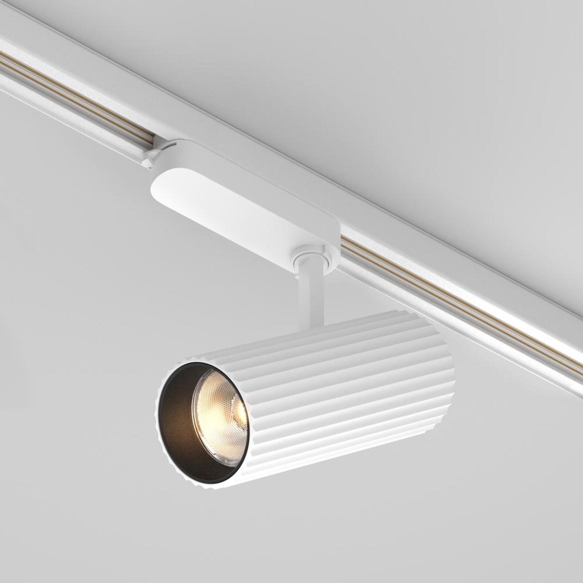 Levně MAYTONI Svítidlo do kolejnice Calipso Trinity 3000K 30W 36d TR250-30W3K-W