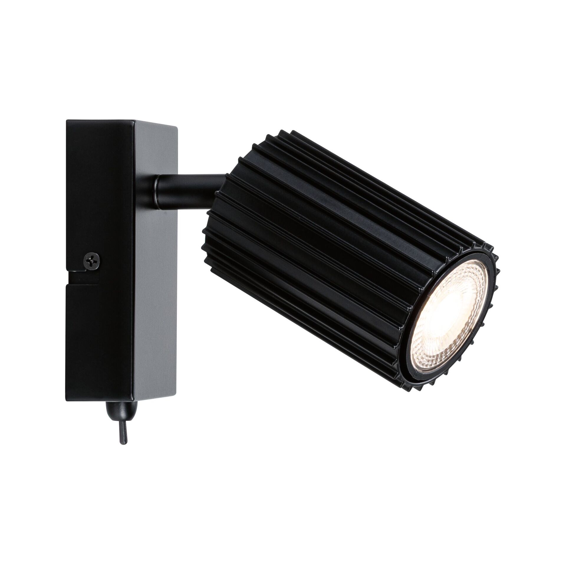Levně PAULMANN Spotlight Lirena GU10 max. 10W černá mat kov