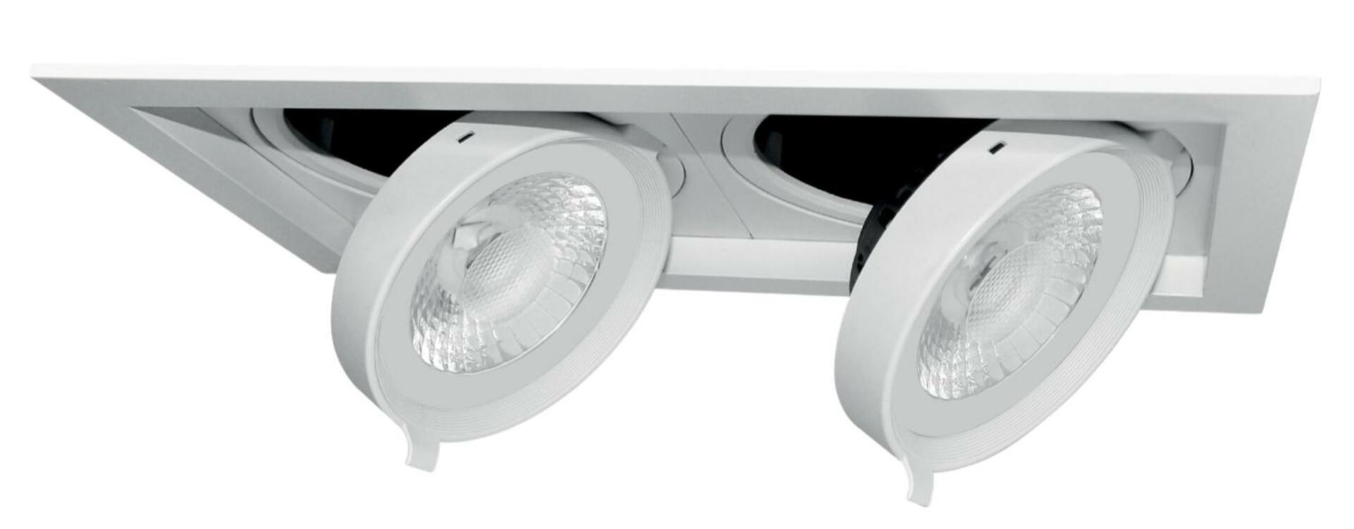 CENTURY SVÍTIDLO LED REGIA ZAPUŠTĚNÉ VÝKLOPNÉ 2 MODULY 335 mm 30W 3000K Ra95 2460Lm 38d DIMM IP20 CEN FSMD2-300230