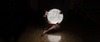 Artemide stropní svítidlo Calipso 50 W 3000K stmívatelné App