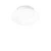 Venkovní nástěnné a stropní svítidlo Ideal Lux Bubble PL1 135250 33,5cm IP44  
