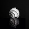 Artemide stolní LED lampa Mendori 8 W 3000K Design Collection