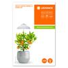 LEDVANCE Indoor Garden Umberella USB pro pěstování rostlin 4058075576155