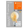 LEDVANCE SMART+ Filament Classic Dimmable 53 6W/2400 K E27 4058075610521
