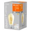 LEDVANCE SMART+ Filament Edison Dimmable 53 6W/2400 K E27 4058075610545