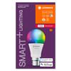 LEDVANCE SMART+ ZB A60 R 9W 220V RGBW FR B22D 4058075729049