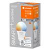 LEDVANCE SMART+ WiFi A60 9W 230V TW FR B22D 4058075778436