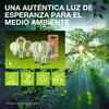 LEDVANCE LED GLOBE95 60 4W/3000 K E27 4099854002922