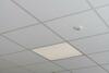 LEDVANCE LED panel PL CMFT 625 P 33W 840 U19 ZBVR UGR19 4099854014802