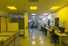 LEDVANCE LED panel PL CMFT 625 P 33W 840 U19 ZBVR UGR19 4099854014802