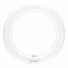 LEDVANCE LED TUBE T9 C 22 EM V 11W 840 G10Q 4099854042461