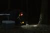 LEDVANCE LED svítilna Spotlight Sidelight 3 W 5 V USB 300 lm