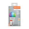 LEDVANCE SMART+ MATTER RGB Classic A75 9.5W 827-865 Multicolor E27 4099854194849