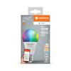 LEDVANCE SMART+ MATTER RGB Classic A100 14W 827-865 Multicolor E27 4099854194870