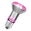 LEDVANCE LED žárovka Star Grow Lamp 7,5 W E27 220-240 V 1300 K 100°