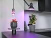 LEDVANCE LED žárovka Star Grow Lamp 7,5 W E27 220-240 V 1300 K 100°