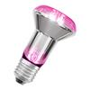 LEDVANCE LED žárovka Star Grow Lamp 7,5 W E27 220-240 V 1300 K 100°
