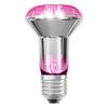 LEDVANCE LED žárovka Star Grow Lamp 7,5 W E27 220-240 V 1300 K 100°