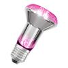 LEDVANCE LED žárovka Star Grow Lamp 7,5 W E27 220-240 V 1300 K 100°