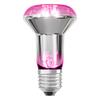 LEDVANCE LED žárovka Star Grow Lamp 7,5 W E27 220-240 V 1300 K 100°