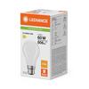 LEDVANCE LED Classic A 60 Filament P 5.9W 827 matná B22d 4099854466052