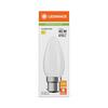 LEDVANCE LED Classic B 40 Filament P 3.4W 827 Frosted B22d 4099854466540