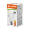 LEDVANCE LED Classic P 40 Filament P 3.4W 827 matná B22d 4099854468315