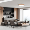 Solight LED osvětlení s dálkovým ovladačem Brownie, 60W, 4200lm, 50cm, změna chromatičnosti, stmívatelné WO8004