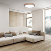 Solight LED osvětlení s dálkovým ovladačem Iron Oak, 60W, 4200lm, 51cm, změna chromatičnosti, stmívatelné WO8006