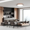 Solight LED osvětlení s dálkovým ovladačem Iron Oak, 60W, 4200lm, 51cm, změna chromatičnosti, stmívatelné WO8006