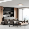 Solight LED osvětlení s dálkovým ovladačem Woody, 60W, 4200lm, 50cm, změna chromatičnosti, stmívatelné WO8008