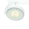 Philips CLOCKWORK SVÍTIDLO BODOVÉ LED BÍLÁ 1x4W 53170/31/16