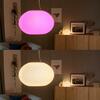 Hue Bluetooth LED White and Color Ambiance Závěsné svítidlo Philips Flourish 8719514343528 bílé 2000K-6500K