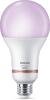 WiZ Smart LED Žárovka 18,5 W (ekv. 150 W) 2452lm 2200-6500K RGB A80 E27