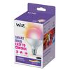 WiZ LED žárovka E27 G95 Globe 11W 1055lm 2200-6500K RGB IP20, stmívatelná