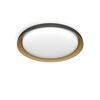 Philips Pebblo UltraEfficient stropní svítidlo LED 10W 1850lm 2700K SceneSwitch CRI80 32cm kulaté IP20,černé