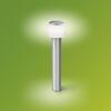 Philips Otis UltraEfficient venkovní sloupkové LED svítidlo 4,3W 800lm 2700K IP44 60cm, nerezové